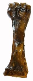 7 Inch Natural Roasted Shin Bone With Marrow with cigar band and upc