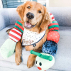 PATCHWORKPET Holiday Ornaments Caterpillar 43"