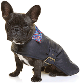 OUTBACK TAILS Oil Skin Dog Coat Digging Truffles XL