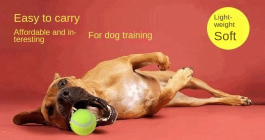 3pcs Pet dog toy tennis toy micro elastic ball dog throwing interactive dog ball training dog