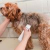4 In 1 Electric Pet Dog Grooming Kit Cordless Rechargeable Pet Hair Trimmer