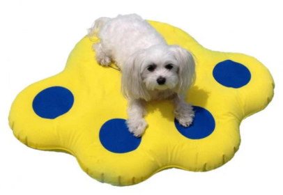 Inflatable Lazy Raft (size: small)