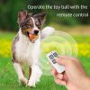 Interactive Dog Chew Ball;  USB Rechargeable Electric Toy With LED Light