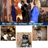 Dog Baby Safety Gate Mesh  Portable Guard