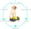 Dog Sprinkler Outdoor Water Fountain Easy Paw Activated 2 Aqua Outlet Modes Hose Dispenser for Big and Small Dogs