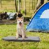Dog Bed with Memory Foam Support