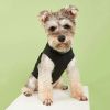 Pet Tank Top; "Security" Dog Vest; For Small & Medium Dogs