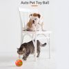 Interactive Dog Chew Ball;  USB Rechargeable Electric Toy With LED Light
