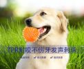 Vocal Toys Puppy Spike Toy Small Dog Pet Molar Toy